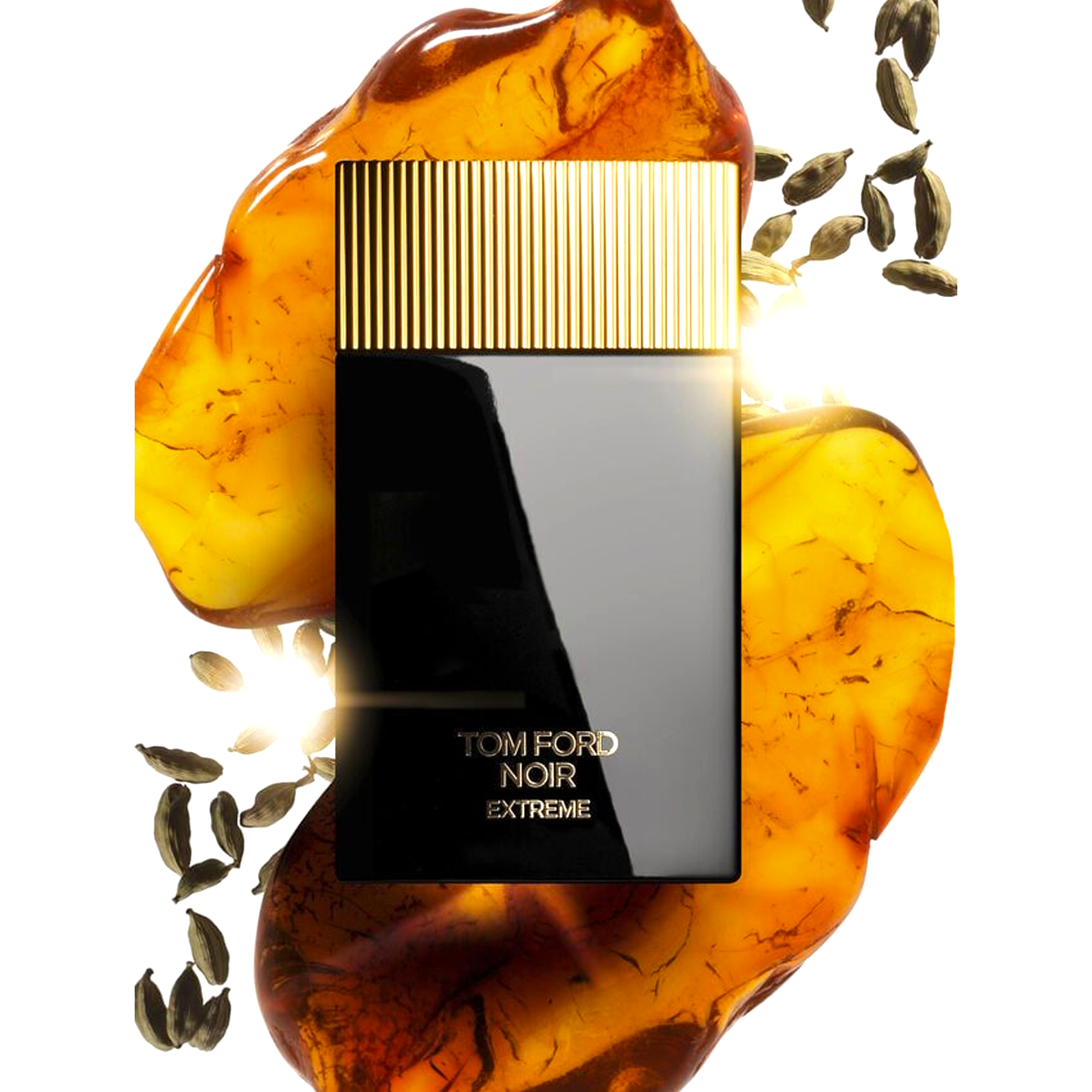 Tom Ford Noir Extreme – Eau de Parfum for Men